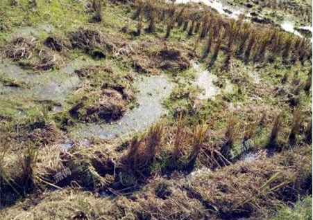 权威解读！2019新《土地管理法》的七项重大突破！