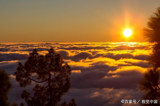 干净，最高贵！