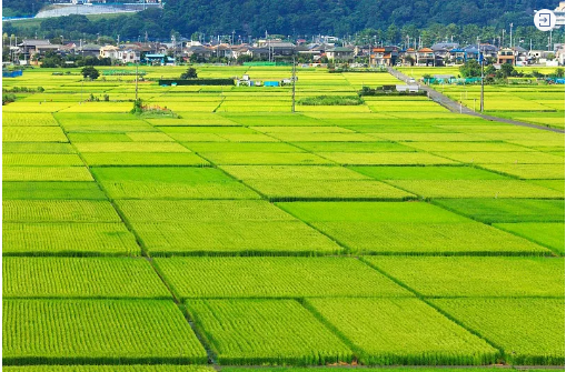 明天起，这些新规将影响你的生活