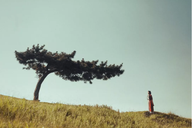 中国人的四大天规和九大定律，违者必有灾！