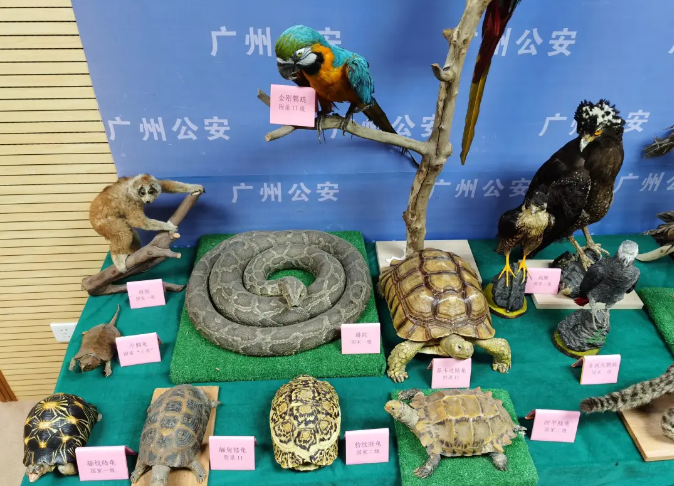 注意！3月1日起，再干这些事就是犯罪！